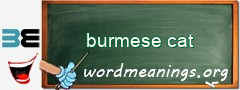 WordMeaning blackboard for burmese cat